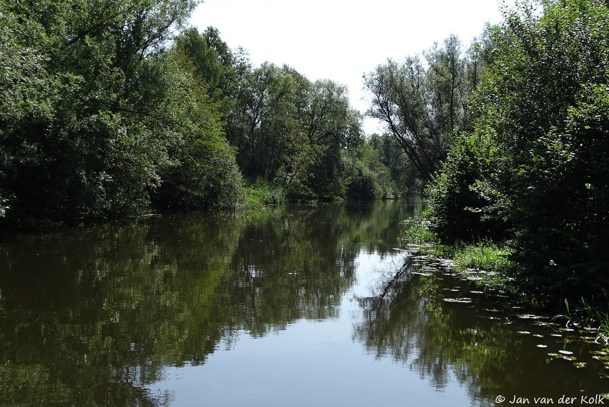 BekiekTwente's tweet photo. Deze week bestaat #BekiekTwente 9 jaar.
Daarom wordt u getrakteerd op foto's uit het archief.
Rivieren en kanalen:
* #Regge #Notter #Zuna
* #Dinkel #DeLutte
* #Twentekanaal #Wiene #Zeldam
* #KanaalAlmeloNordhorn #Reutum

Bekiek meer op: https://t.co/BkuJ0Q767Y https://t.co/8NHpcXH47l