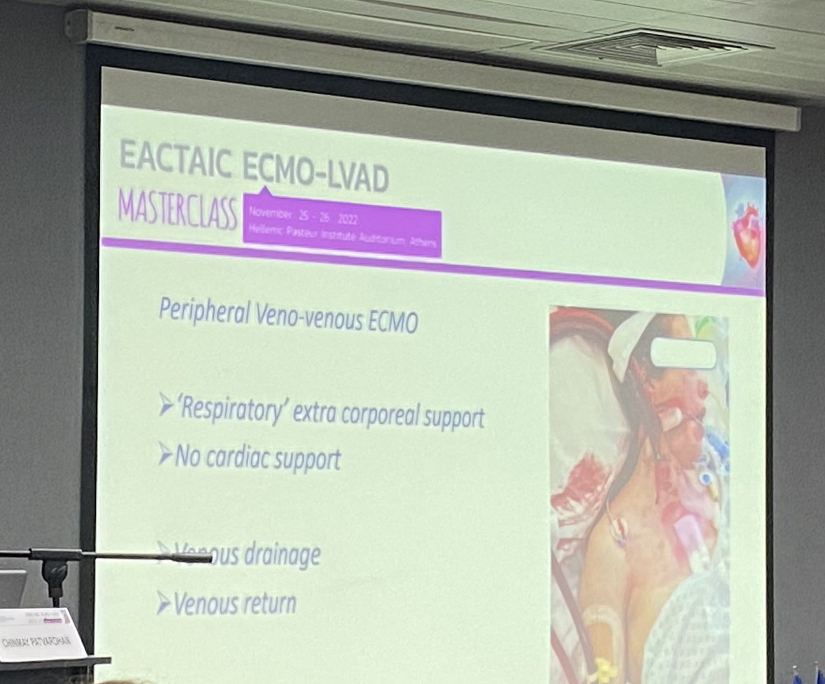 gely samara tweet media