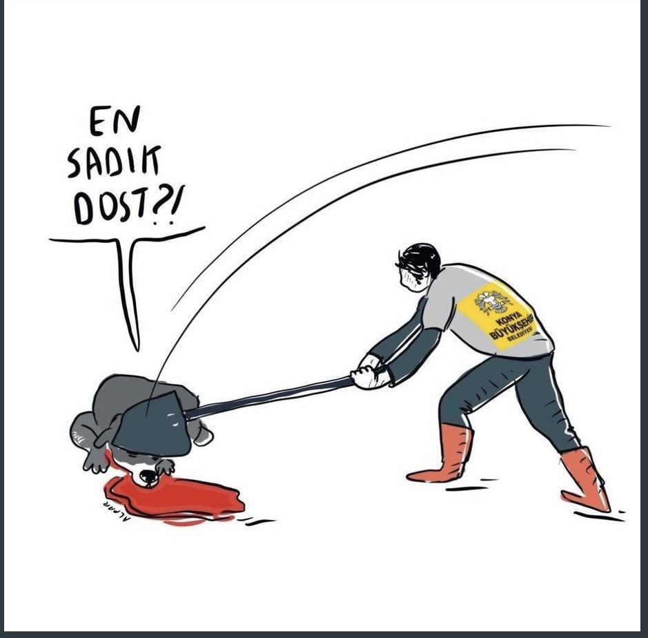 #konyadakatliamvar #MuratKöseistifa derken Cumhurbaşkanının örnek gösterdiği barınak bu Konya ! Çekin pis ellerinizi bu masum canların üzerinden.