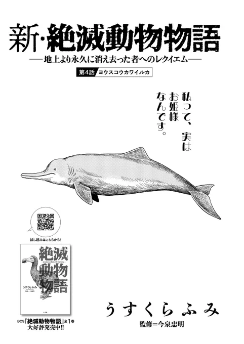 本日発売のビッグコミック23号にて『新・絶滅動物物語』載っております。第4話はヨウスコウカワイルカです。 