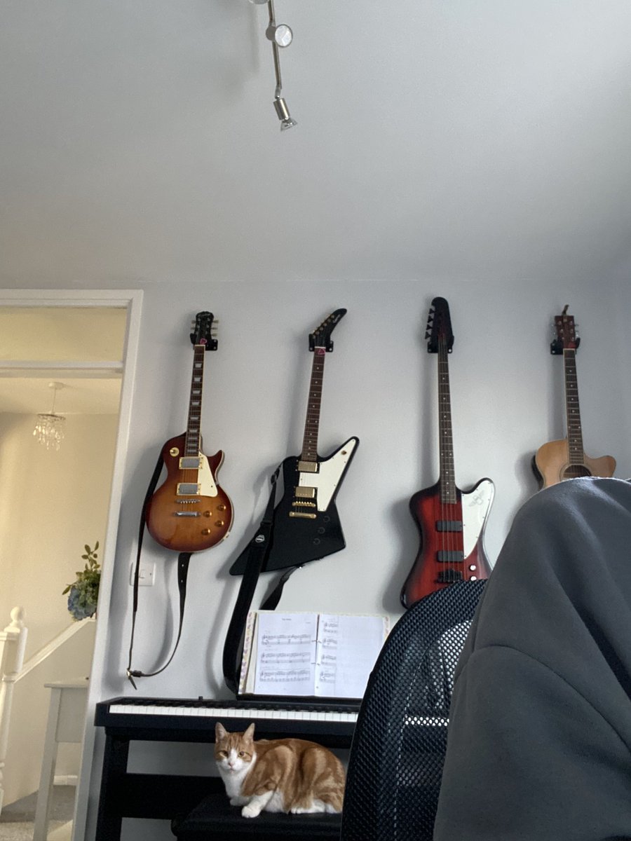 KentheCat4's tweet photo. She’s ignoring me, time to make some noise! #CatsOnTwitter #FridayFeeling 😼🎹🎸🎤 https://t.co/093vRWYN4B