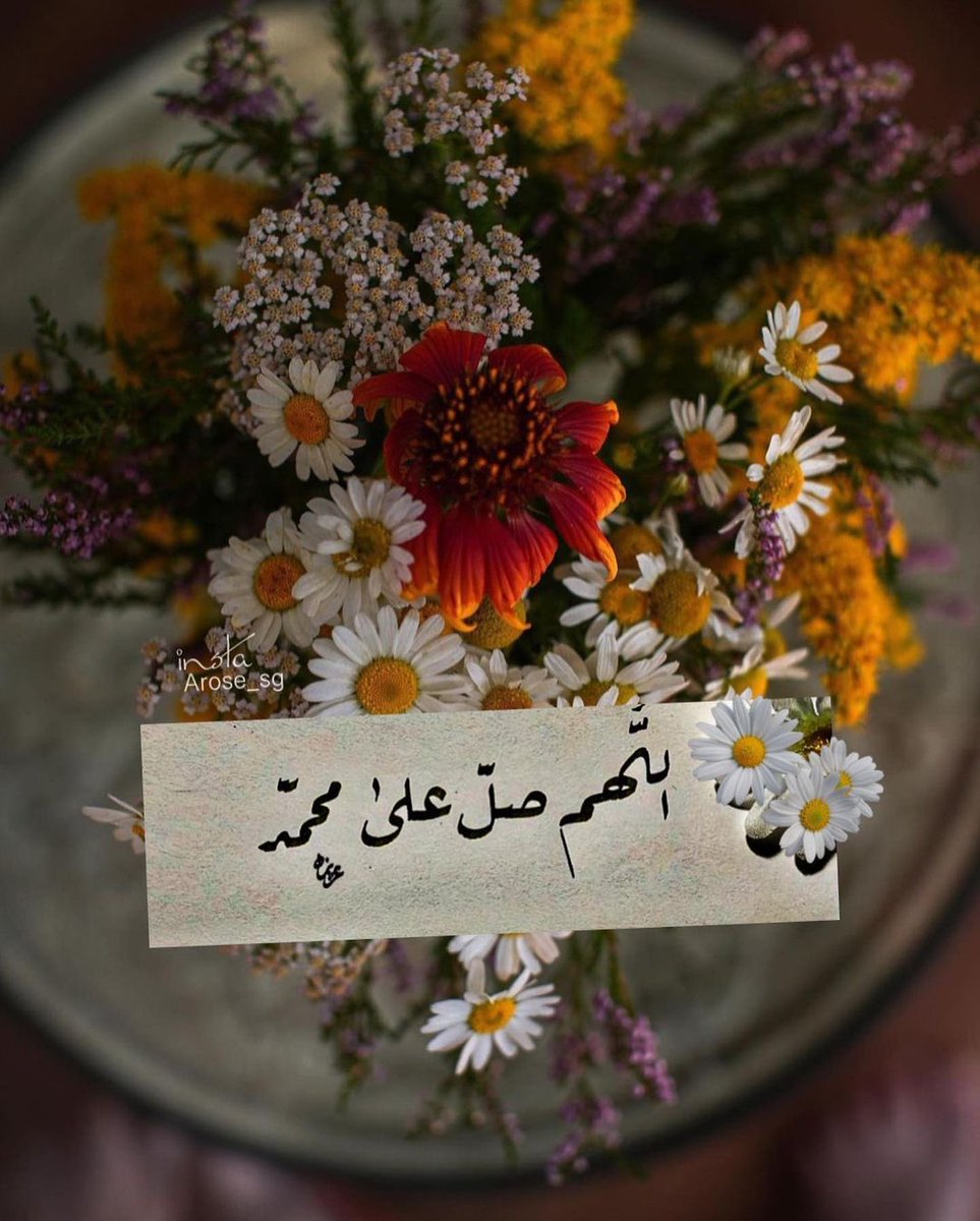 وتشرق الشمس في الدنياء لتخبرنا 
أن الصباح مليئ بالبشارات ....🌹
اللهم بشرنا بما يسرنا وبما تتلهف له قلوبنا واختر لنا ولا تخيرنا .. 🌹
#صباح_الخيرᅠ