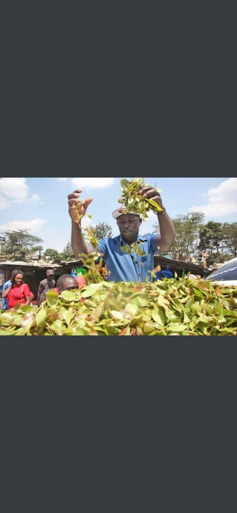 Kaleve6's tweet photo. @Goddie_Ke https://t.co/RXH7Upxh7V