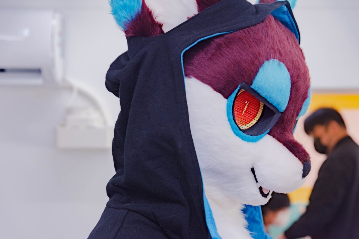 PERDION_PERDO's tweet image. 🌟

📸 Photo @rocha_0181
✂️Maker @LikeaPalette

#Fursuit #LikeaPalette #PERDION #PERDO #FursuitFriday