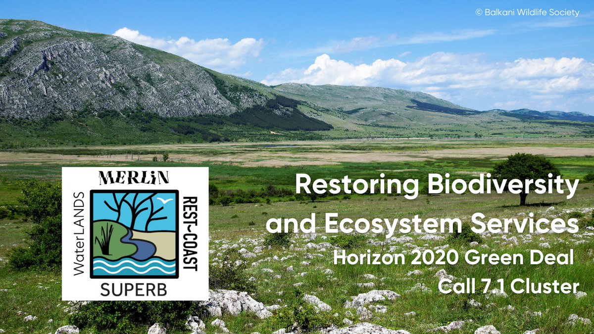 Today, #WaterLANDSH2020 is participating in an EU science-policy event on the #NatureRestorationLaw alongside our fellow Green Deal 7.1 cluster projects.

Exciting to be working towards landscape-scale restoration at a European level!

waterlands.eu/eu-green-deal-…
#RestoreNature