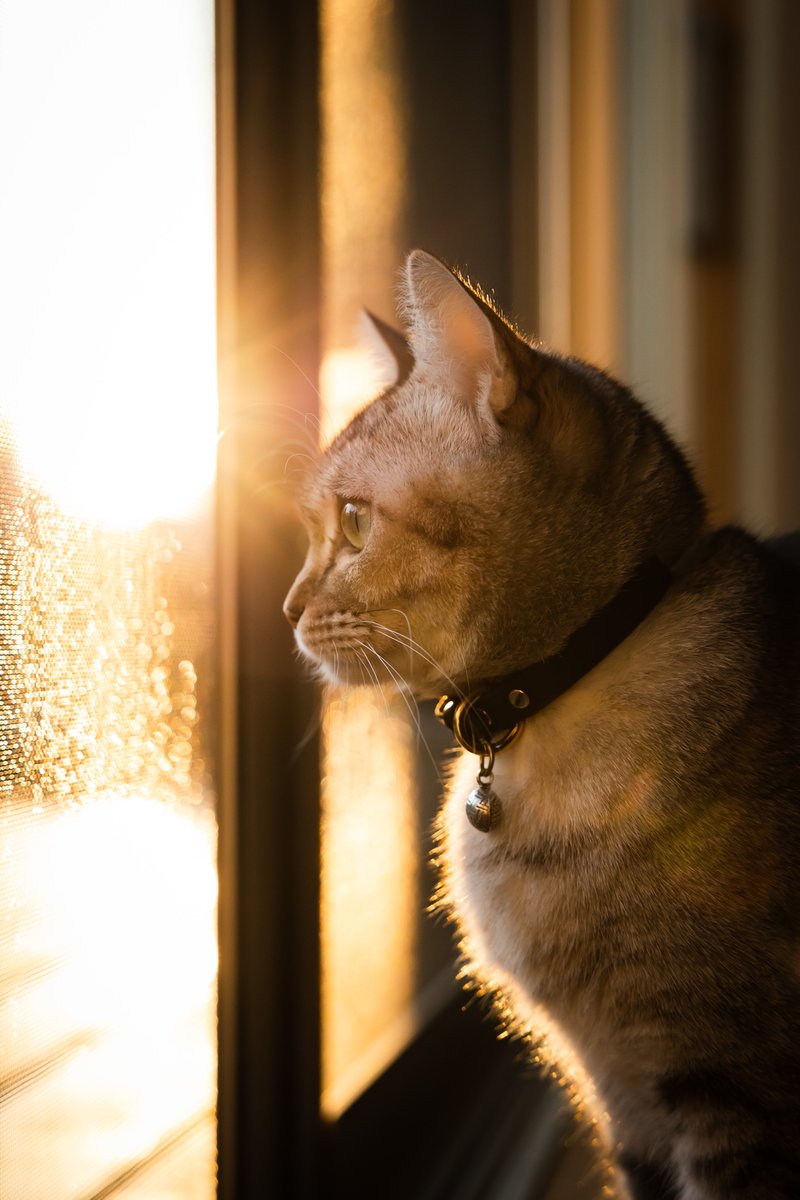 井口絵理香/ Erika Inokuchi tweet media