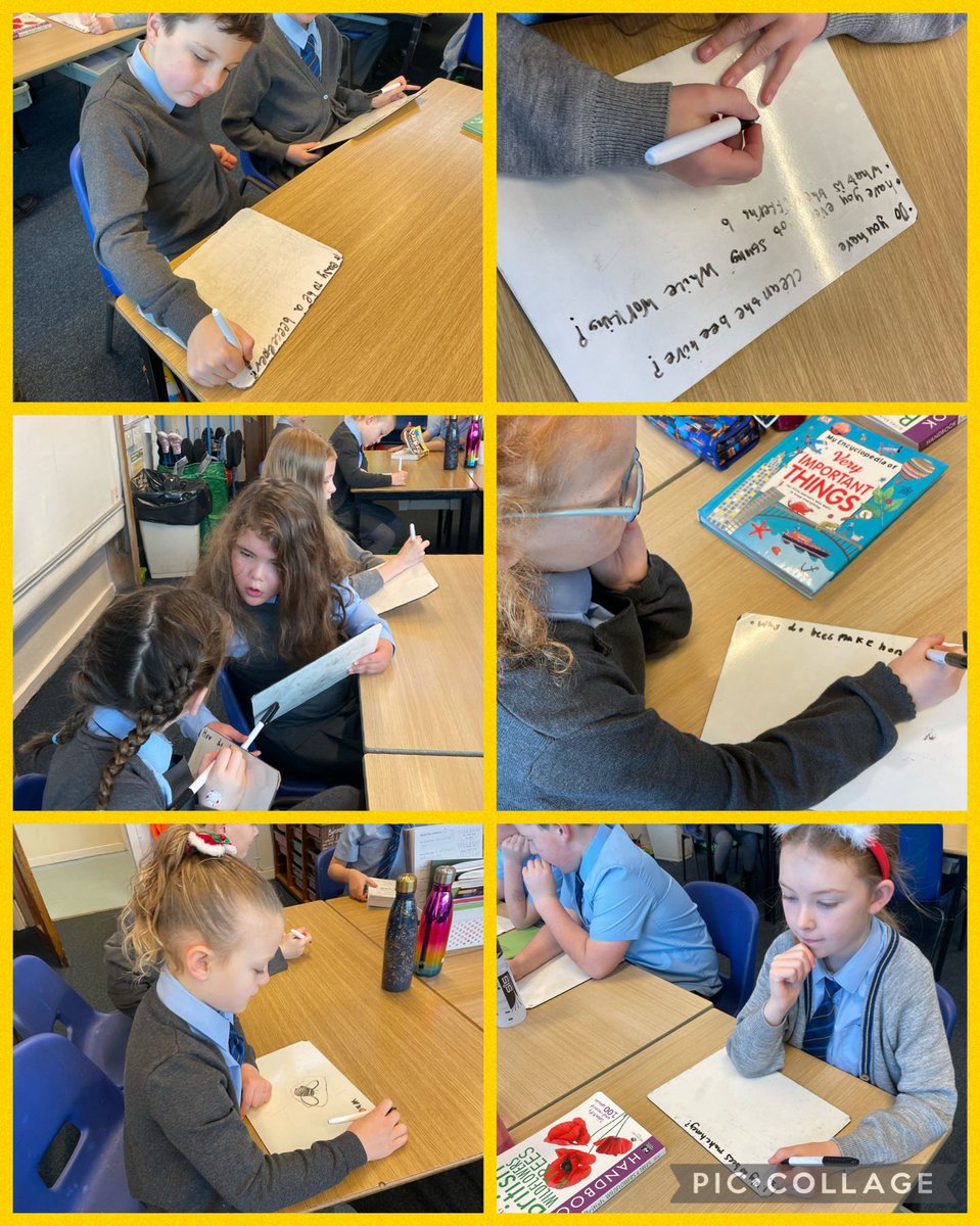 StJosephsERC's tweet image. Primary 4 are so excited for @stniniansbio and the S5 and S6s to come and speak to us about beekeeping! @ERC_STEM #ercstem #operationpollination