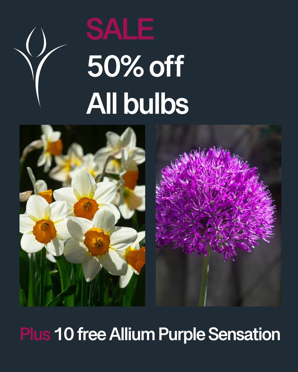 It’s getting to the end of the season. Time for our final sale! There’s still plenty of time to plant your bulbs.