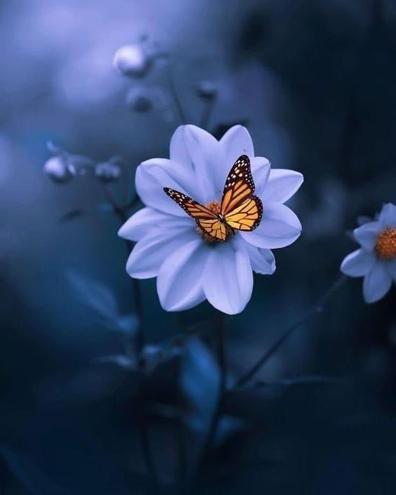 Good day friends 😘 Buen día amigos 😘