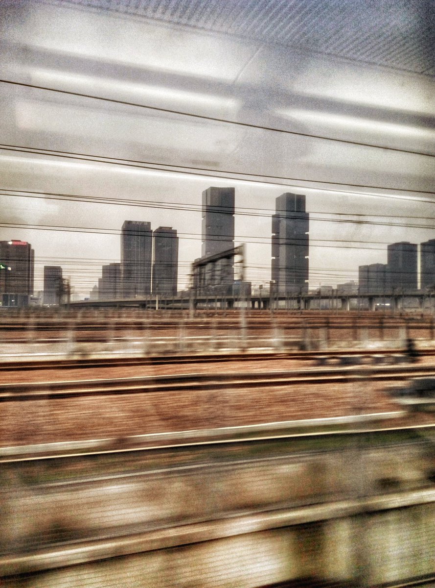 Nata_Darlex🕊️ tweet media