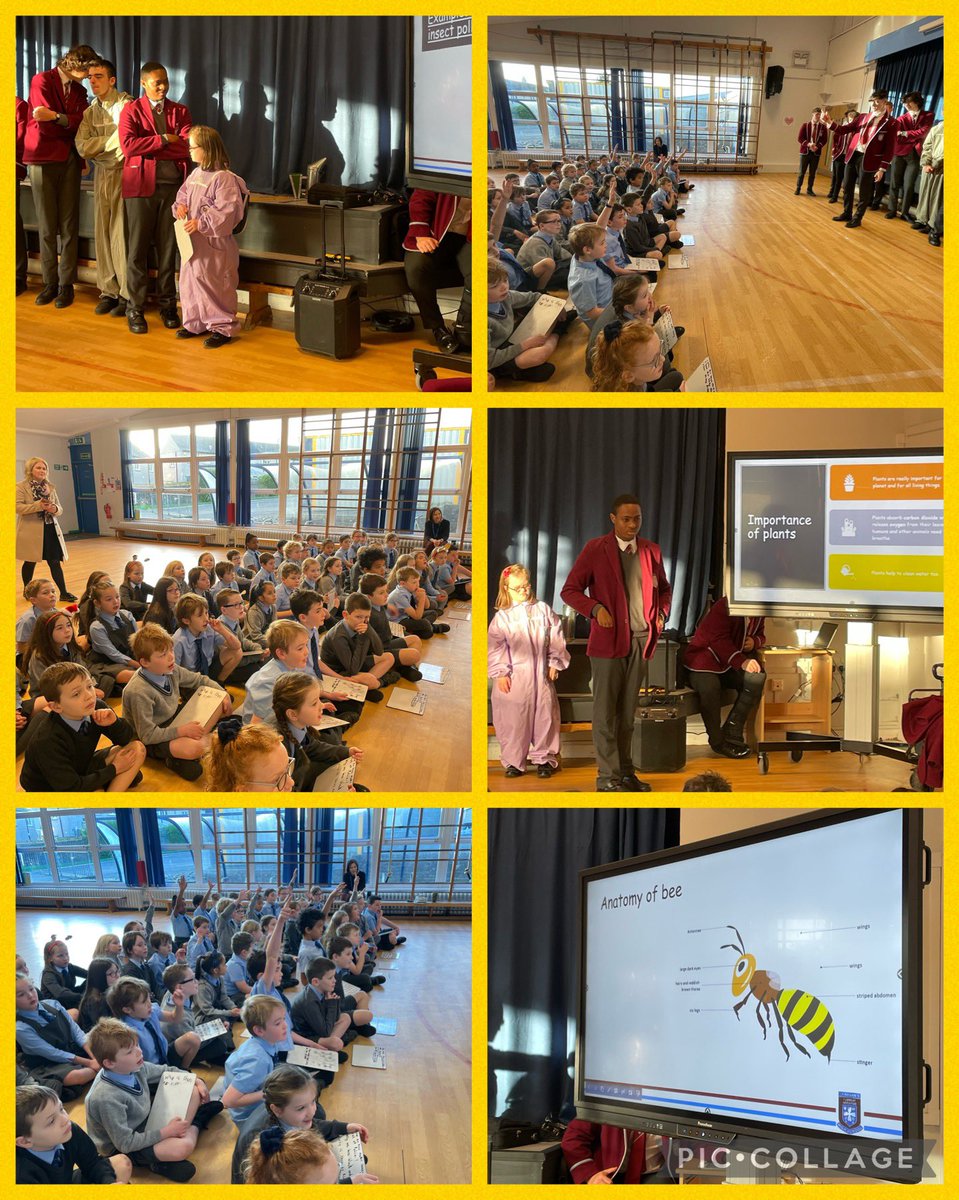 StJosephsERC's tweet image. It’s bee time!!! And we have so many questions for our @stniniansbio pupils about how we can look after some of our most important pollinators #operationpollination @ERC_STEM