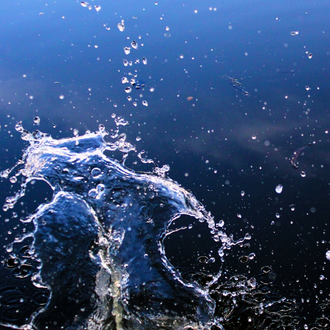 thewellprosper's tweet photo. Structured water is necessary for optimal hydration, pH, assimilation, metabolism and to support the body’s ability to detox.

#additwater #neocenter #energy #TheWellFrequencyProsper #relaxing #NaturalEnergyOptimization https://t.co/hiM2EmyIZW
