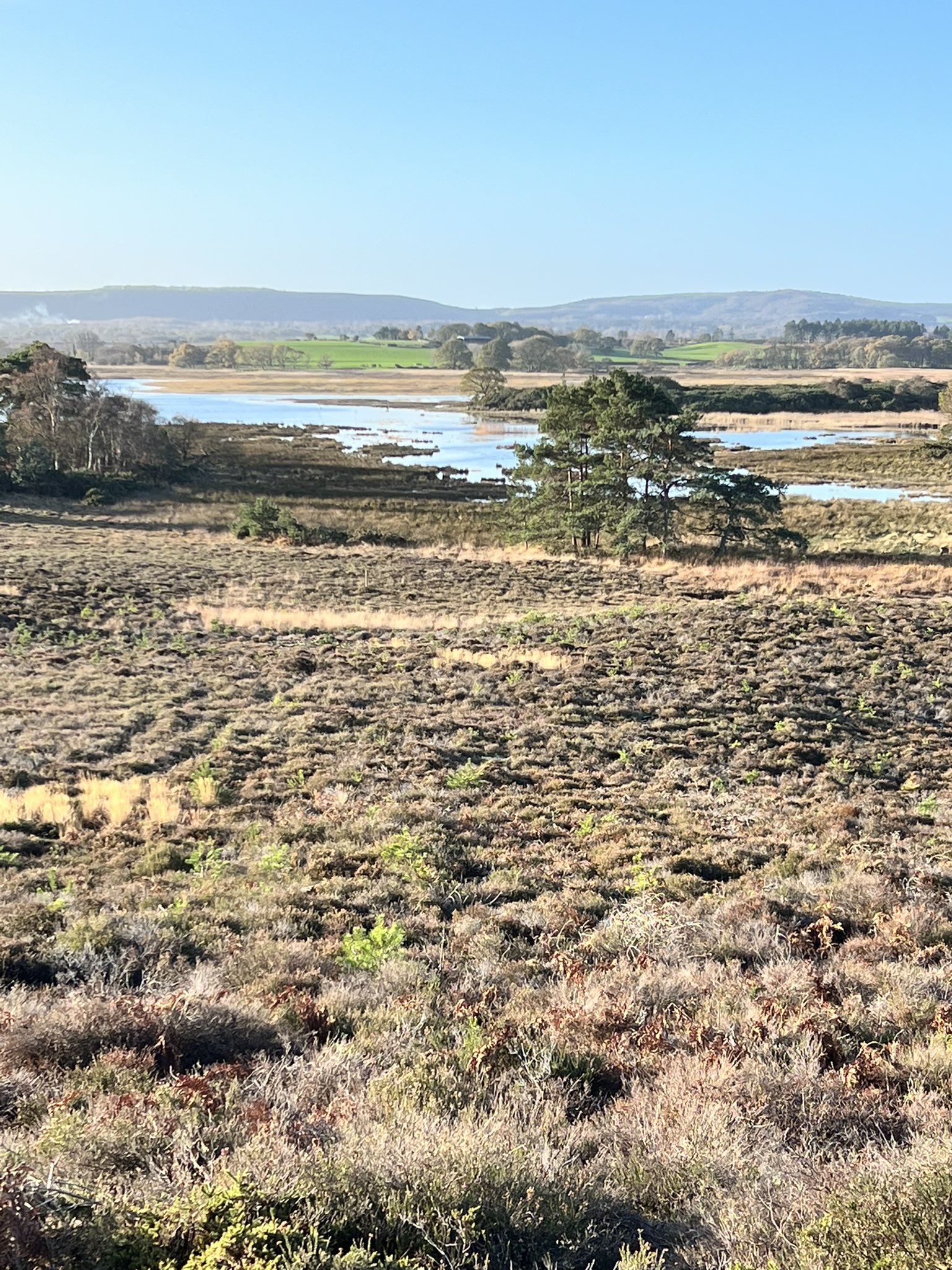 barbara-bisset-on-twitter-09-30-stunning-views-on-a-very-high-tide