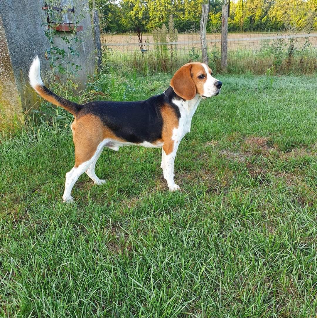 Association Owca tweet media