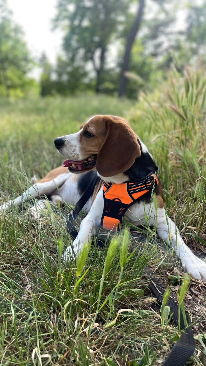 Association Owca tweet media