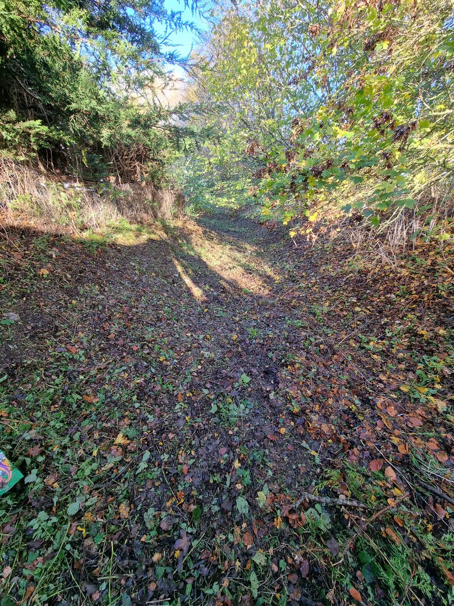 DeTom48's tweet photo. It’s hard to believe this autumn strewn channel is the bed of a dry stream which flows furiously in winter. It’s all tidy, mowed and #WinterReady #RiverNailbourne #Bishopsbourne near #Canterbury 

⁦@EnvAgencySE⁩
⁦@Kent_cc⁩
⁦@canterburycc⁩ 
⁦@ADA_updates⁩ https://t.co/oTU0Mv6CPD