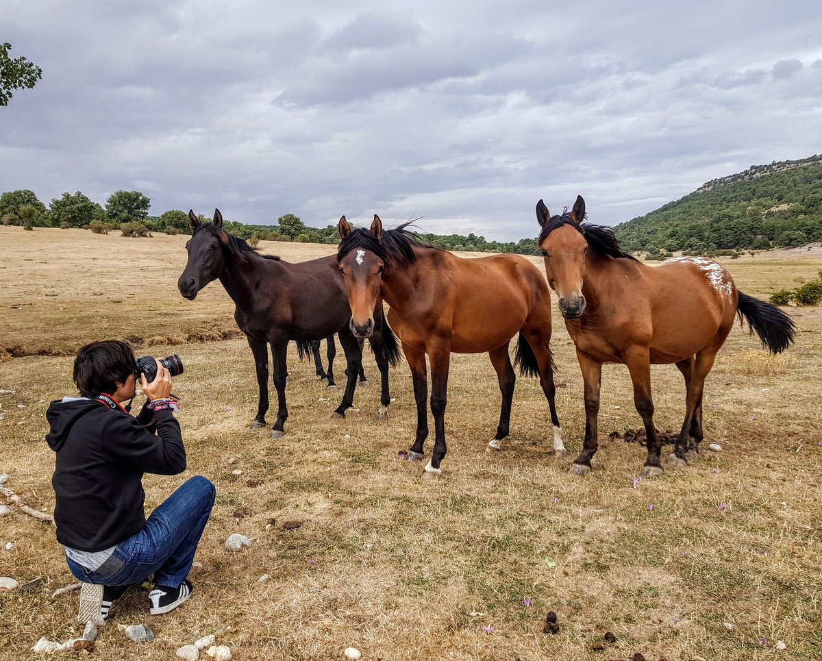 EspejonGeonatur's tweet photo. ¡Los Costagramers!
Hay unos caballos muy coquetos en el prado de Costalago, donde se ubica uno de los miradores del Cañón del Río Lobos.
#Soria #Burgos @Soriaestademoda #cañondelriolobos #costalago #espejonconexiongeonatural @spain @CyLesVida #castillayleon https://t.co/plAOSAxu33