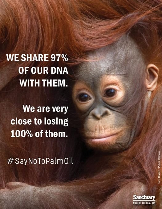 BoycottPalmOil's tweet photo. @bmay Corporations' sole objective is to max profit/power for the 1%, CEOs, shareholders, bought legislators, at any social/environmental cost. They must be regulated by states that represent most of us, not, as now, control governments
#CorporatePillaging
#CaptiveState
#WhenMoneyTalks https://t.co/BMKFsnD7wP