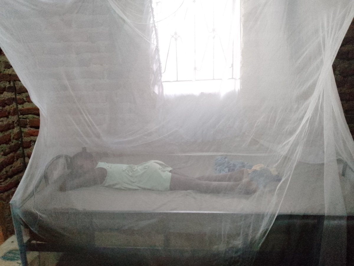 UnitedWidows's tweet photo. The average national malaria prevalence is 9%, but the West Nile Region is at 22%; 12% in Lango; 34% in Karamoja; and 21% in Busoga region.
@JSIhealth 
@paceUganda 
@Impact_Malaria 
@FightingMalaria https://t.co/yVr4zGsHXe