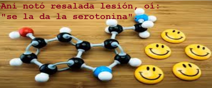 "Lesión" (palíndromo)
· · · >