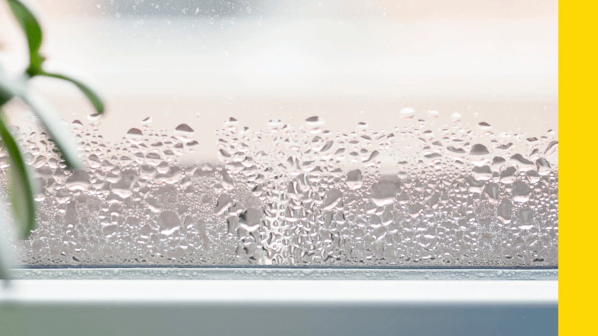 Recticel Insulation France tweet media