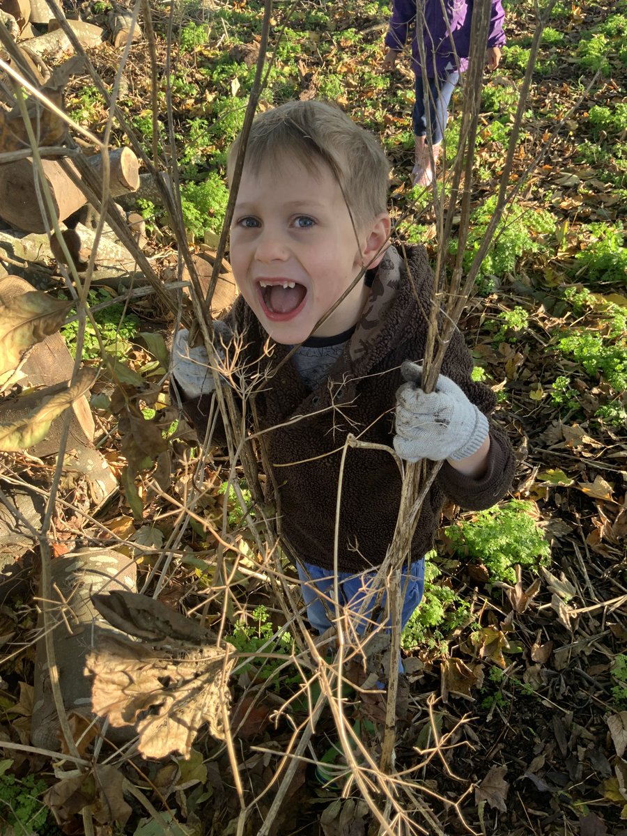 WayfieldPrimary's tweet photo. Team Jolie enjoyed making their very own bug hotel. We hope it attracts lots of bugs and insects! 🐞 🐜 🐛 🪱 🐌 🍁 🌲 🪵 https://t.co/rrsCOoq496