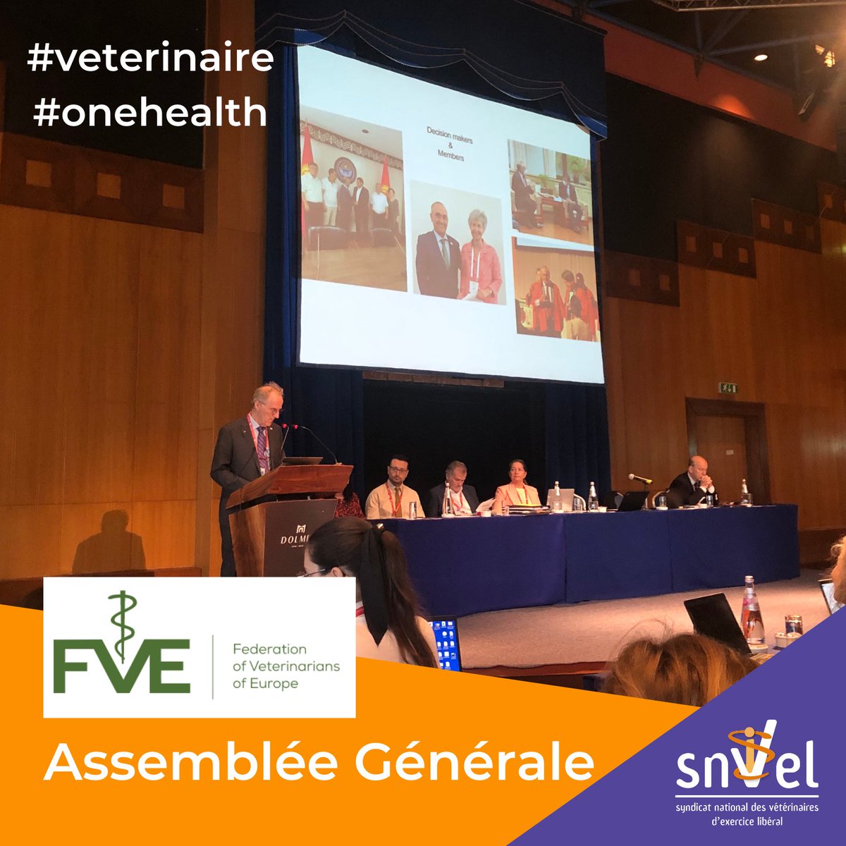 La représentation française participe à l’Assemblée générale de @FVEurope 👉 #onehealth #santeanimale #veterinaire