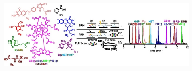 AnalBioanalChem's tweet photo. Simultaneous quantification of all B vitamins and selected biosynthetic precursors in #seawater and #bacteria by means of different mass #spectrometric approaches
by Heinz Wilkes et al @ICBM_uol @UniOldenburg #Orbitrap #vitaminB

#OpenAccess 
https://t.co/wdCg8YvHIA https://t.co/jkTAd62D5F