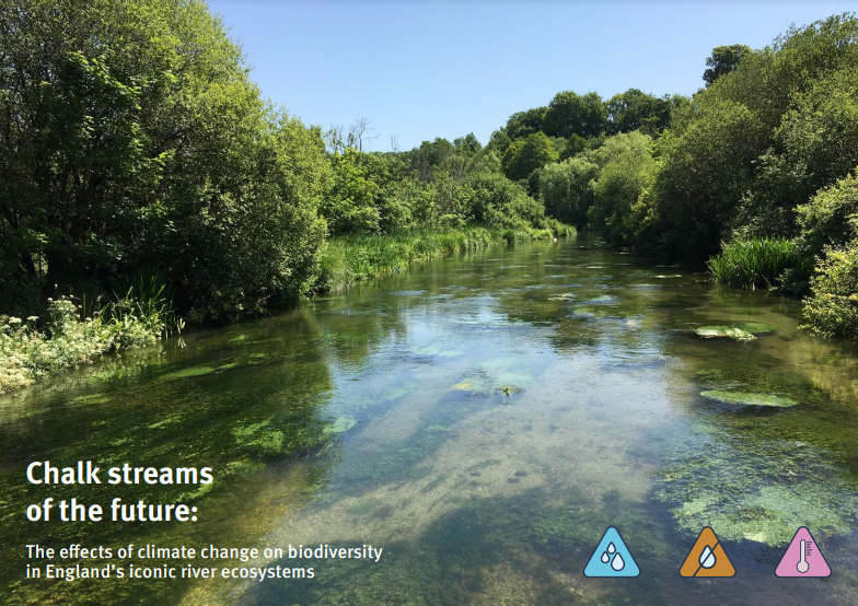Rachel Stubbington (@rstubbington) on Twitter photo Excited to share our report, Chalk streams of the future: The effects of climate change on biodiversity in England’s iconic river ecosystems.
By me, Glenn Watts & <a href="/Judy_E12/">Judy England</a> <a href="/EnvAgency/">Environment Agency</a>, <a href="/JakeDimon97/">Jake Dimon</a> <a href="/NTUSciTech/">NTUScienceTechnology</a> and thanks to <a href="/bugsymac1/">Craig Macadam</a> <a href="/RiversandPeople/">Tim Sykes @riversandpeople.bsky.social</a>
dynamicstreams.wixsite.com/website/public… Excited to share our report, Chalk streams of the future: The effects of climate change on biodiversity in England’s iconic river ecosystems.
By me, Glenn Watts & <a href="/Judy_E12/">Judy England</a> <a href="/EnvAgency/">Environment Agency</a>, <a href="/JakeDimon97/">Jake Dimon</a> <a href="/NTUSciTech/">NTUScienceTechnology</a> and thanks to <a href="/bugsymac1/">Craig Macadam</a> <a href="/RiversandPeople/">Tim Sykes @riversandpeople.bsky.social</a>
dynamicstreams.wixsite.com/website/public…