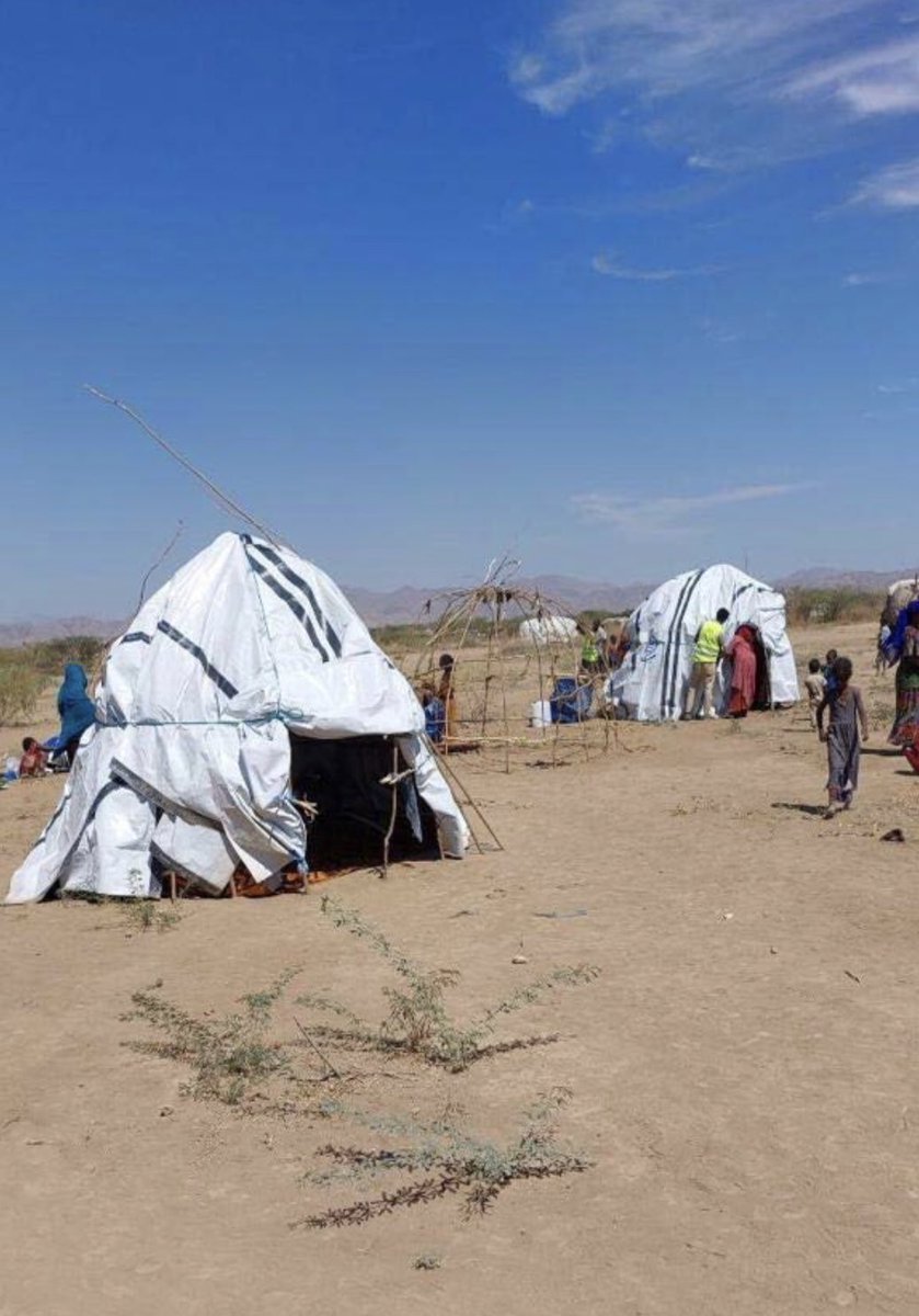 SashaAlAwsa's tweet photo. #Afar
Plans are underway to relocate 1800 IDPs currently residing with host communities in & around Semera to Abala, Kunneba & Berhale. #IDPs returning to their places of origin are faced with uncertainties due to compromised livelihoods,shelter & settlement situations
#helpAfar https://t.co/raKPtkvUQ9