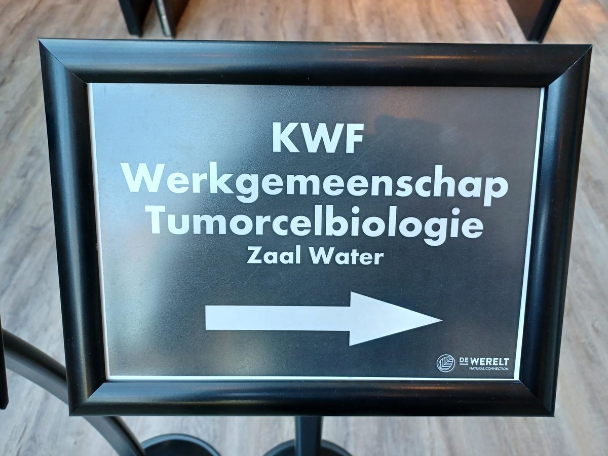 Our lab is attending the annual KWF Cancer Biology meeting! Talks by Peter Haughton and Thijs Koorman, posters from Max Rätze and Thijmen Sijnesael on #KWF <a href="/elbcc/">ELBCC</a> <a href="/BreastCancerNow/">Breast Cancer Now</a> <a href="/Mechanocontrol/">Mechanocontrol</a> and @COST CA19138 #LOBSTERPOT sponsored research. Thanks chair <a href="/mspaar/">Marcel Spaargaren</a>