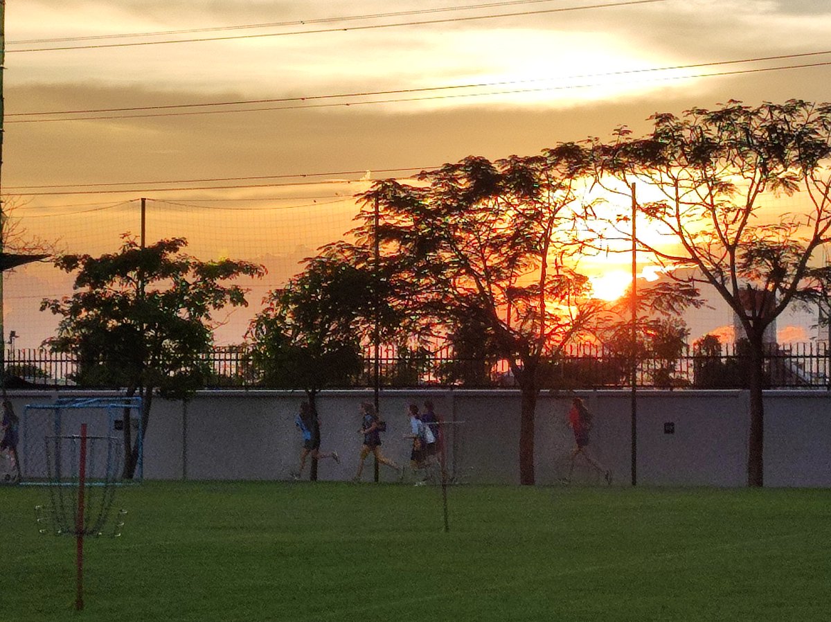 Leticia Cariño tweet media