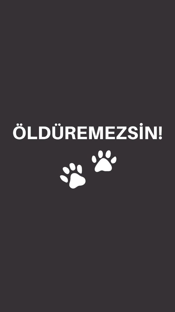 Bu net insanlık suçudur, tüm hayvanlar önemlidir lâkin köpekler tarihte çok uzun zamandır insan dostudur ve insana muhtaç olarak evrilmiştir. Dünya hepimizindir !

#Mamaktakatliamvar 
#Konyadakatliamvar