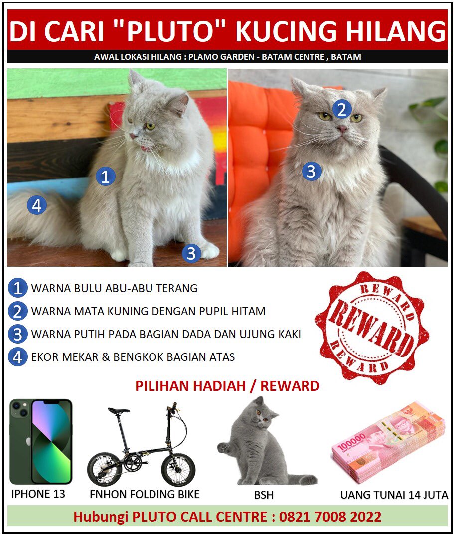 🐈 Pluto cepet pulang ya. Bantu RT yaa