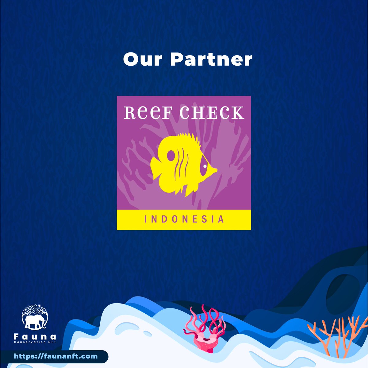 Fauna Conservation NFT (@fauna_nft) on Twitter photo The real heroes are our partners <a href="/ReefCheckIndo/">Reef Check Indonesia</a>
#ReefCheckIndonesia #climatechange #innovators
#faunanft #NFT #NFTs #nftcollection #nftforgood #nftart #nftcollection #crypto #cryptocommunity #cryptoforconservation #nonfungiblereef #reef #marineconservation #coraltriangle The real heroes are our partners <a href="/ReefCheckIndo/">Reef Check Indonesia</a>
#ReefCheckIndonesia #climatechange #innovators
#faunanft #NFT #NFTs #nftcollection #nftforgood #nftart #nftcollection #crypto #cryptocommunity #cryptoforconservation #nonfungiblereef #reef #marineconservation #coraltriangle