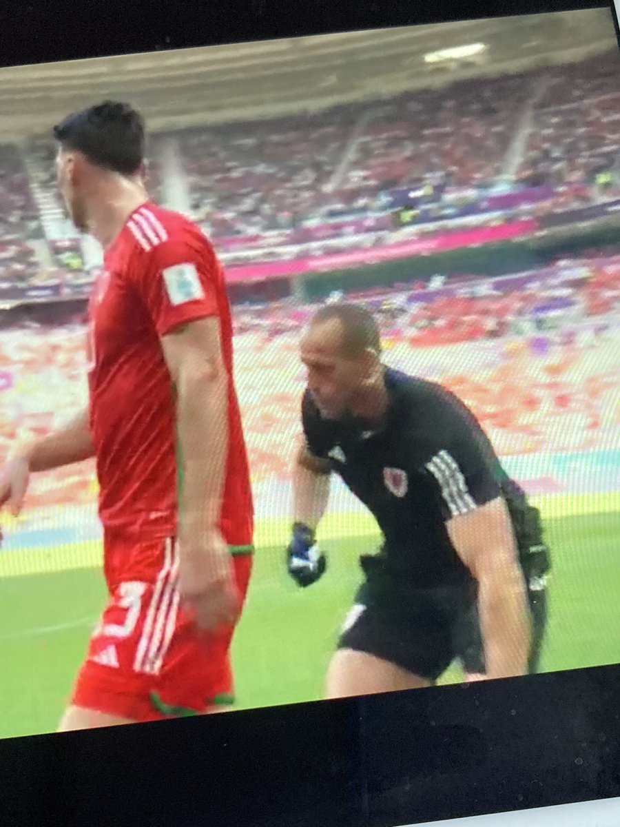 Nick_Loughlin_'s tweet photo. Any Pools fans recognise this fella at the World Cup? James Haycock, former Pools physio now with Wales and head of physiotherapy at Crystal Palace, after he left Newcastle last season https://t.co/9DMm3EYIyl