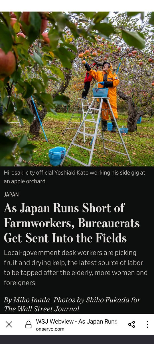 An accidental, posthistorical realization of the non-alienated life envisioned by Marx in The German Ideology: