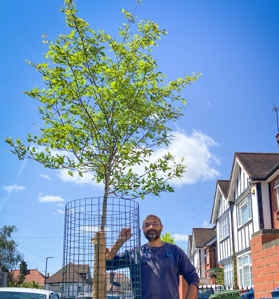 TreesforStreets's tweet image. #NationalTreeWeek starts tomorrow, and planting season has already started in some areas. 🌳🌳

If your council is tagged below, there's still time to sponsor a tree and have it planted this winter.

Make your request now: treesforstreets.org/start

#StreetTrees #UrbanGreening