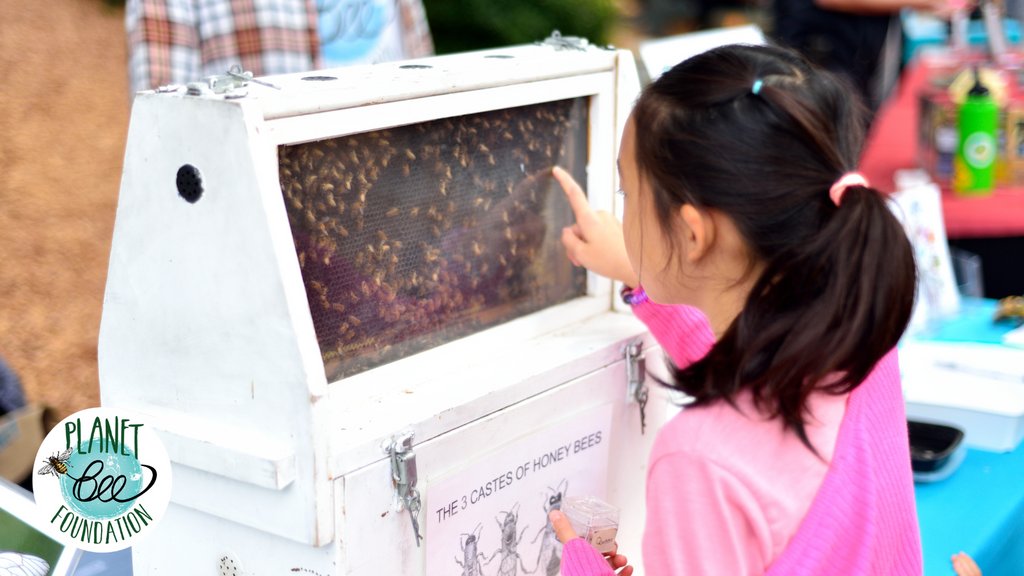 Did you miss #GivingTuesday? It’s not too late to join our hive and donate.

Donations help ensure we can continue funding our programs at no cost to schools.

Donate today at planetbee.org/donate-to-plan… 

 #dogood #nonprofit #community #takeaction #beethechange #beethere #beesquare