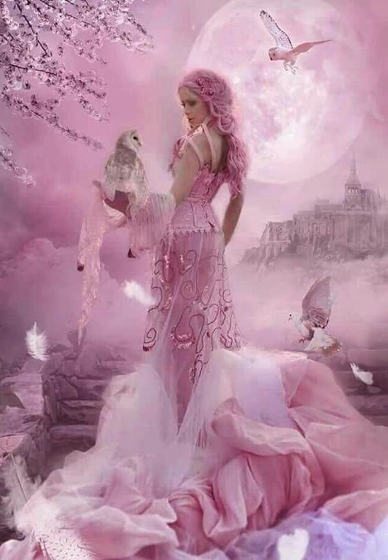 Mr_Rocket82's tweet photo. ☆~🌸~☆ Good night my Friends ☆~🌸~☆ https://t.co/I05ZbFrA3h