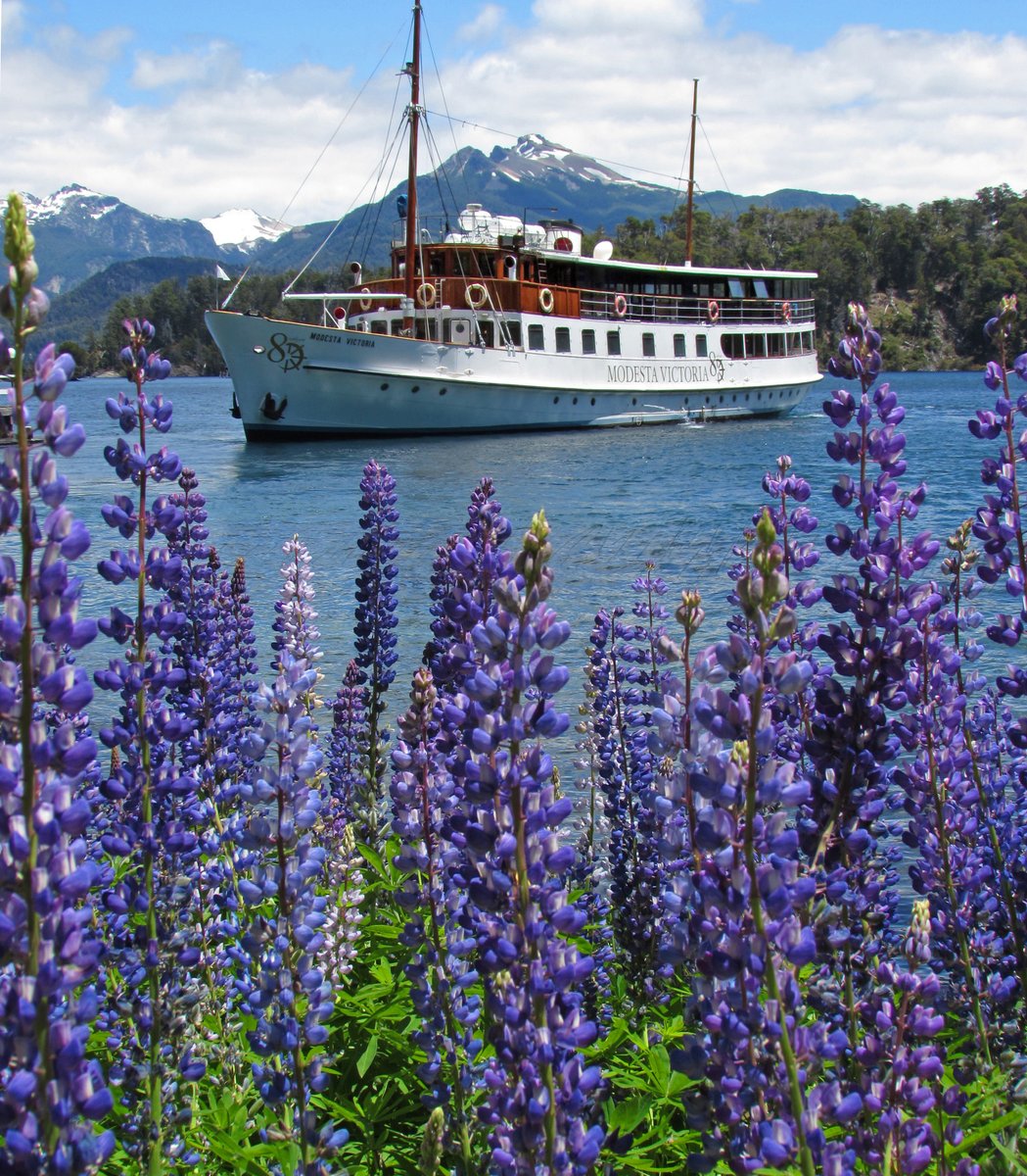 TurisurBrc's tweet photo. Mañana 3/12 vuelve a navegar la Modesta Victoria! 
Embarcación emblema del lago Nahuel Huapi https://t.co/HW0nRLSapD