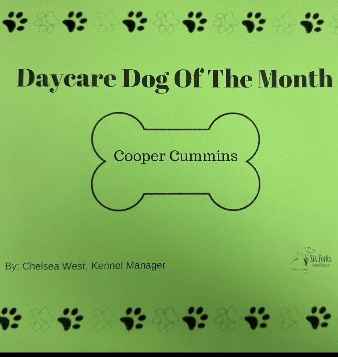 MsCumminsClass's tweet photo. Proud dog mom alert!! 🚨 Cooper won dog of the month for December ❤️🦮 https://t.co/0vqf1fldle