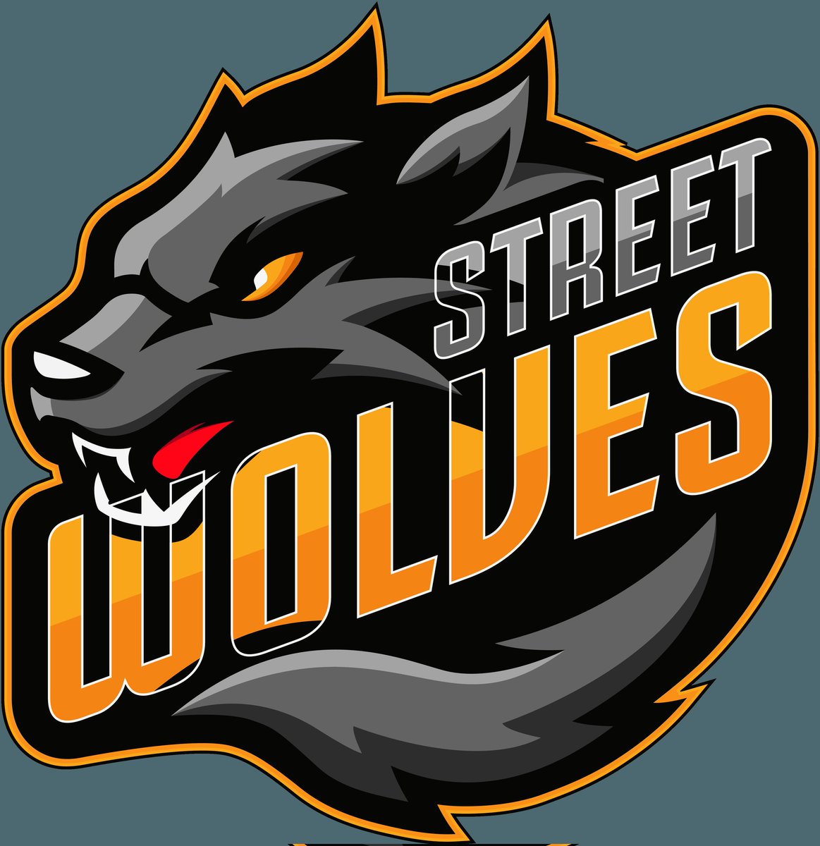 STREET WOLVES tweet media