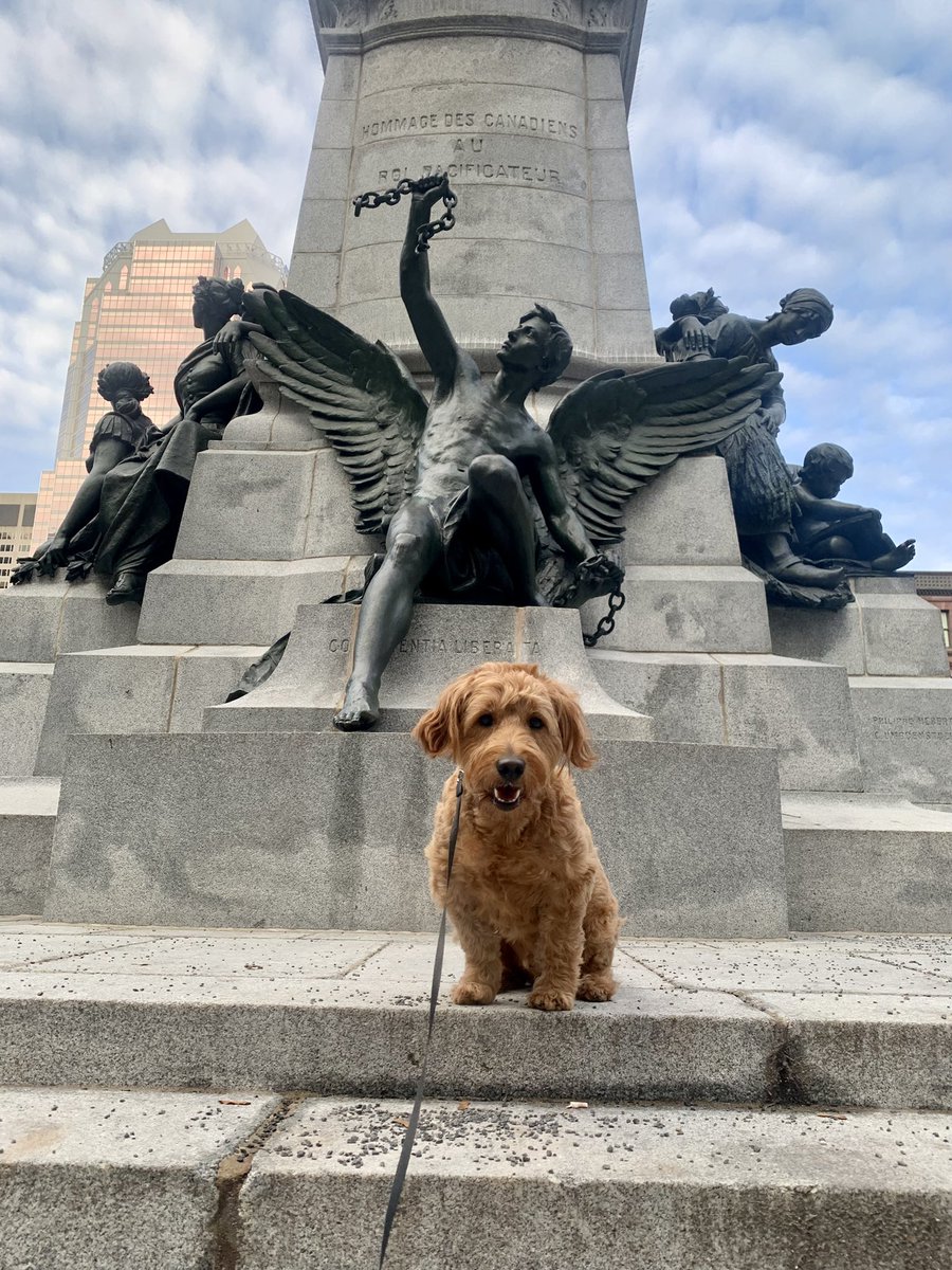 Rachel Yancius, CCWP tweet media