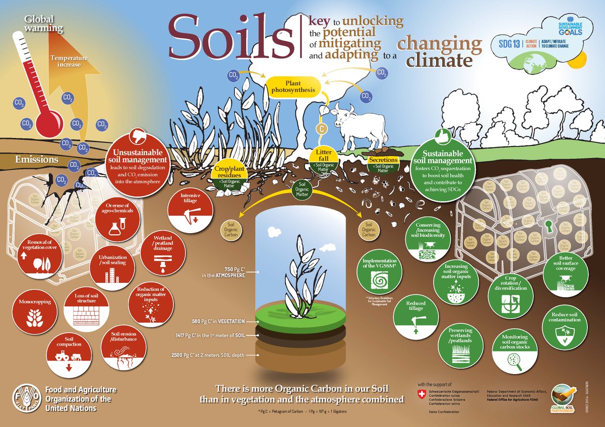 UN Land and Drought (@unccd) on Twitter photo #DYK? #Soil holds about 3 times as much organic carbon as the atmosphere. Making strategic changes to how land-based #ecosystems are managed through land restoration to boost #soilhealth can play a major role in combating #ClimateChange 🐛
#UNited4Land #SaveSoil #WorldSoilDay 💚 #DYK? #Soil holds about 3 times as much organic carbon as the atmosphere. Making strategic changes to how land-based #ecosystems are managed through land restoration to boost #soilhealth can play a major role in combating #ClimateChange 🐛
#UNited4Land #SaveSoil #WorldSoilDay 💚