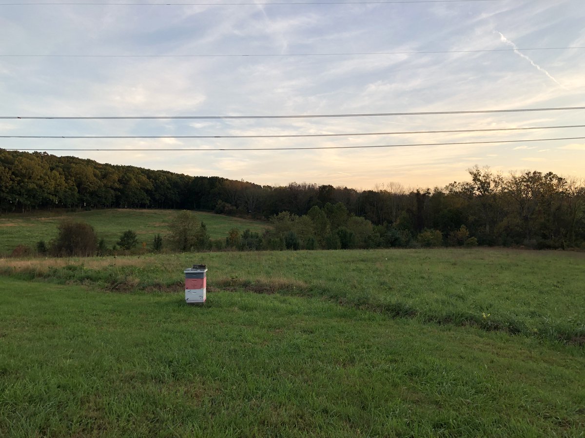 Edward Bradley (@edwardbradley) on Twitter photo 