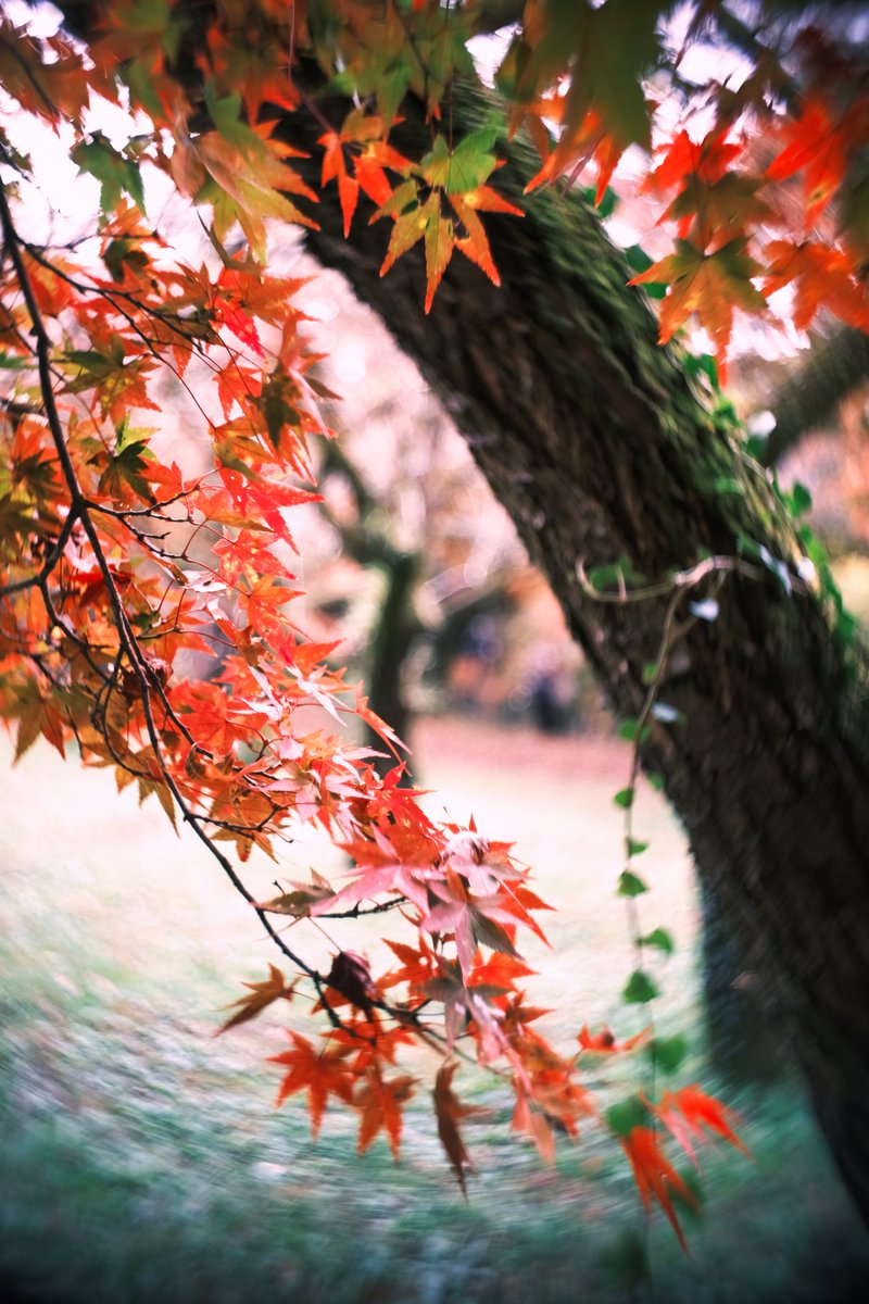TakaMuto_photo's tweet photo. #oldlens #C_mount 
#XE4 #fujifilm #fujifilm_xseries https://t.co/Gdup8Incnq