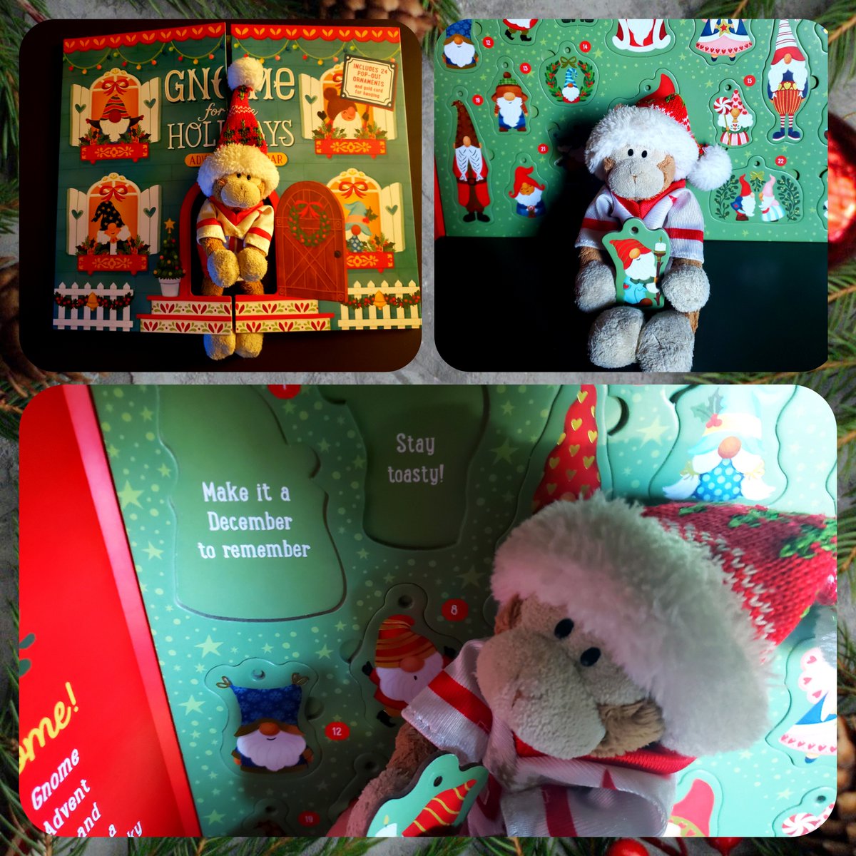 TravelingMocha's tweet photo. Mocha on the Shelf day 2: Checking out today's ornament in the GNOME FOR THE HOLIDAYS Advent Calendar! #MonkeyBusiness ๐๏ธ ๐ #MochaOnTheShelf #MochaOnTheShelf2022 #HelpfulMonkey #Christmas #Yule #SeasonsGreetings #Holidays #HappyHolidays #Dec2 #Day2 #Dec02 #Day02 #gnome #advent https://t.co/s4AQ4ia8wT