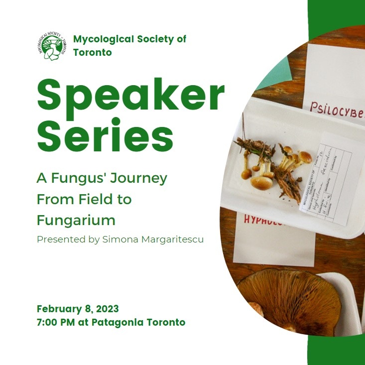 mycotoronto's tweet photo. We are proud to announce that Patagonia Toronto will be hosting the MST in-person Speaker Series on Feb 8, 2023 at 7PM in collaboration with the interim director of the ROM Fungarium, Simona Margaritescu. Capacity is limited &amp; registration is required https://t.co/iCc6Dz9UPq. https://t.co/ylI916ouAE