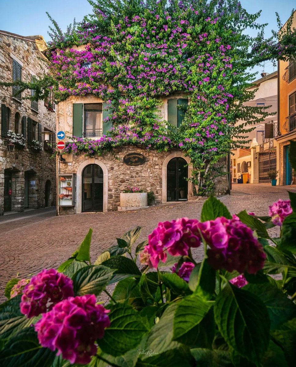 TravelVida's tweet photo. Sirmione, Italy 🇮🇹🌺
📸: peter.rajkai | IG https://t.co/1hUXDILq6P